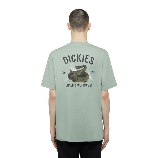 Dickies Koszulka z wężem