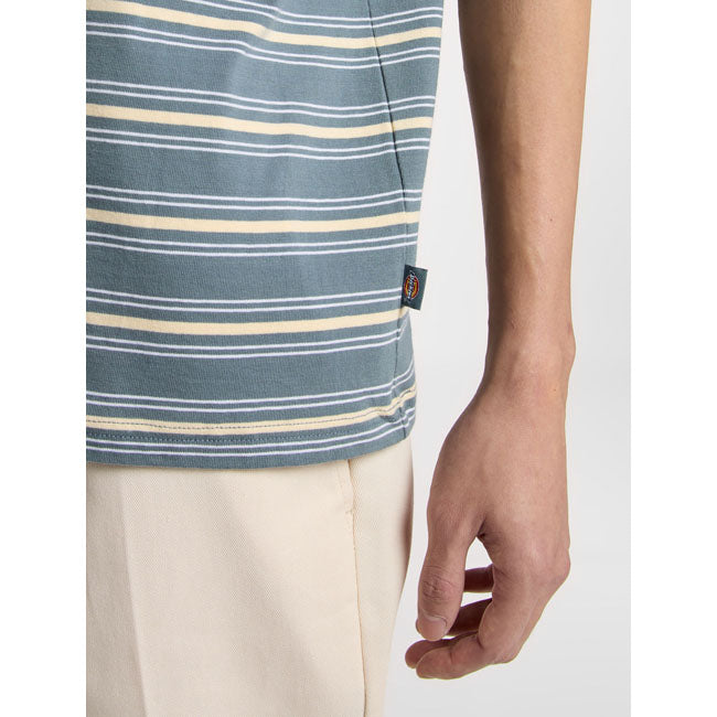 Dickies Koszulka w paski Lewistown