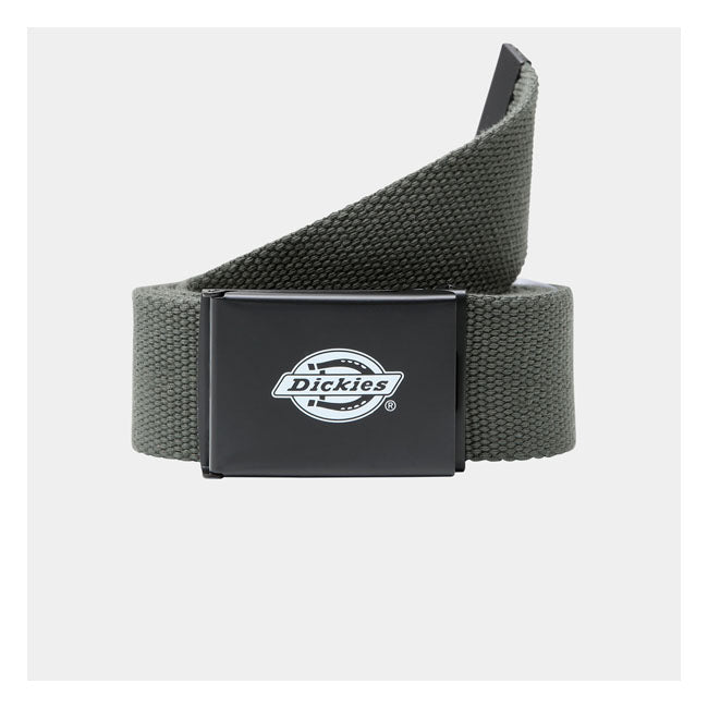Dickies Orcutt Belt