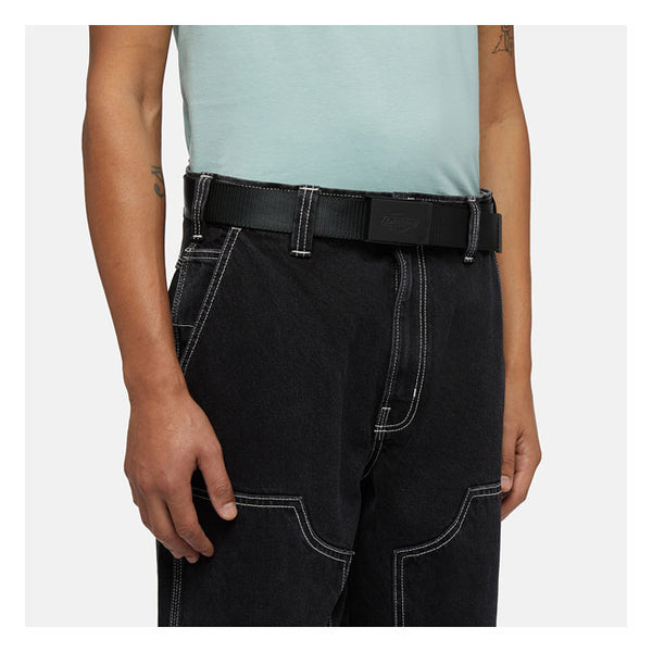Dickies Pas Deer Lodge
