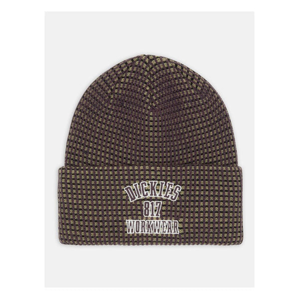 Dickies Czapka Columbia Falls