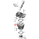 Cylinder Parts Diagram Exploded View for 57-85 Harley Sportster 13) L73-85 XL. Front cylinder. Replaces OEM: 16464-73C