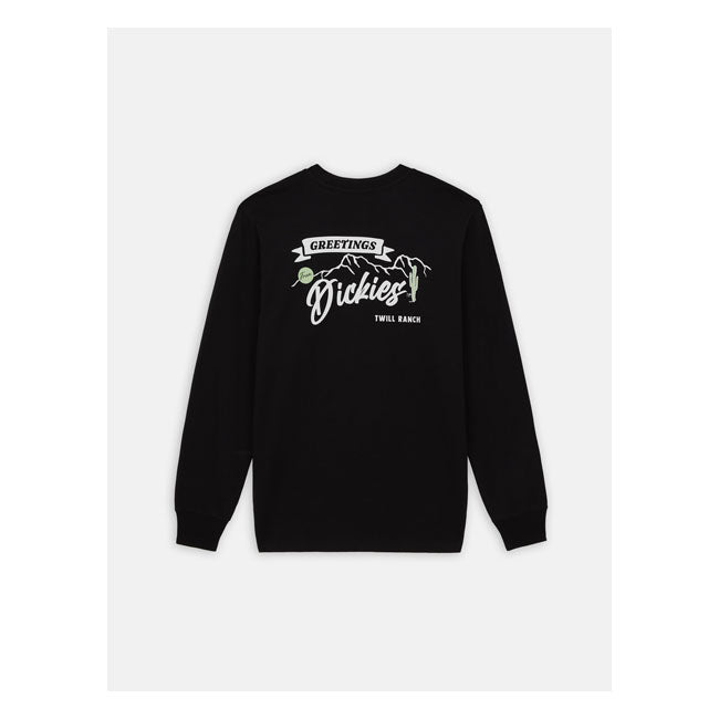 Dickies Dighton Longsleeve T-Shirt