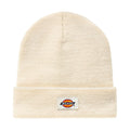 Dickies Gibsland Beanie Ecru  - Customhoj