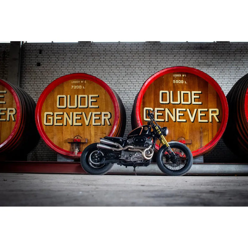 Mad Twisted 2-into-1-into-2 Exhaust System for Harley 86-22 XL Sportster  - Customhoj