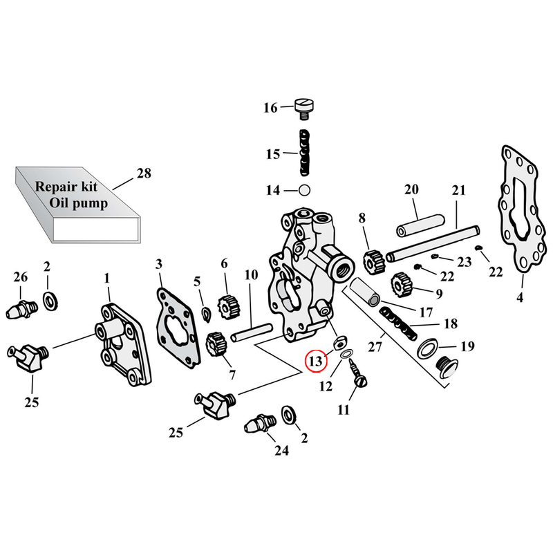 Oil Pump Parts Diagram Exploded View for Harley Knuckle / Pan / Shovel 13) 41-64 & 68-69 Big Twin. Hex nut (set of 25). Replaces OEM: 7638